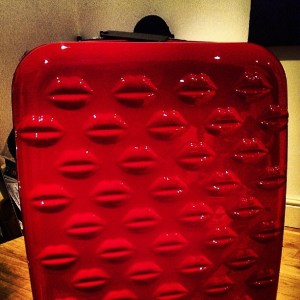 My gorgeous new suitcase will make it's maiden voyage on this trip!