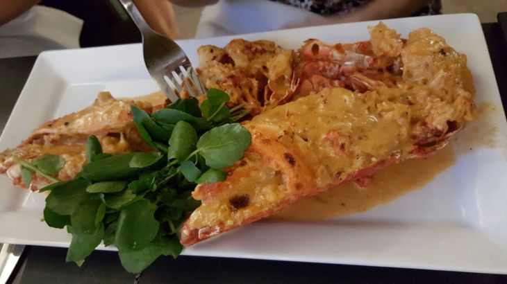 Delicious grilled lobster