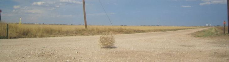 Long_Tumbleweed