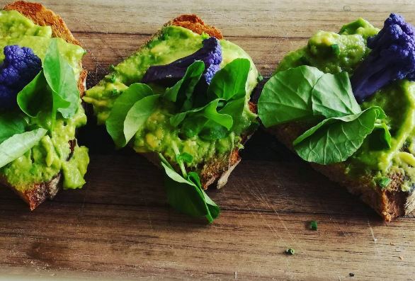 avo toast