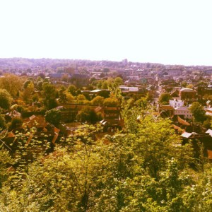 b40b02d0c62711e2868f22000a1f97ea_7