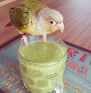 Screenshot_20180414-104033_Instagram